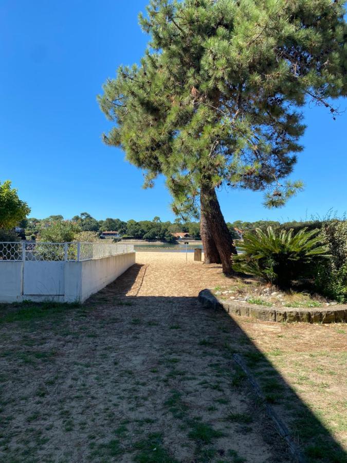 Un Cocon Climatise Au Bord Du Lac D'Hossegor Soorts-Hossegor Exterior foto